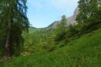 2015-07-04_2Sonnjoch (476).JPG